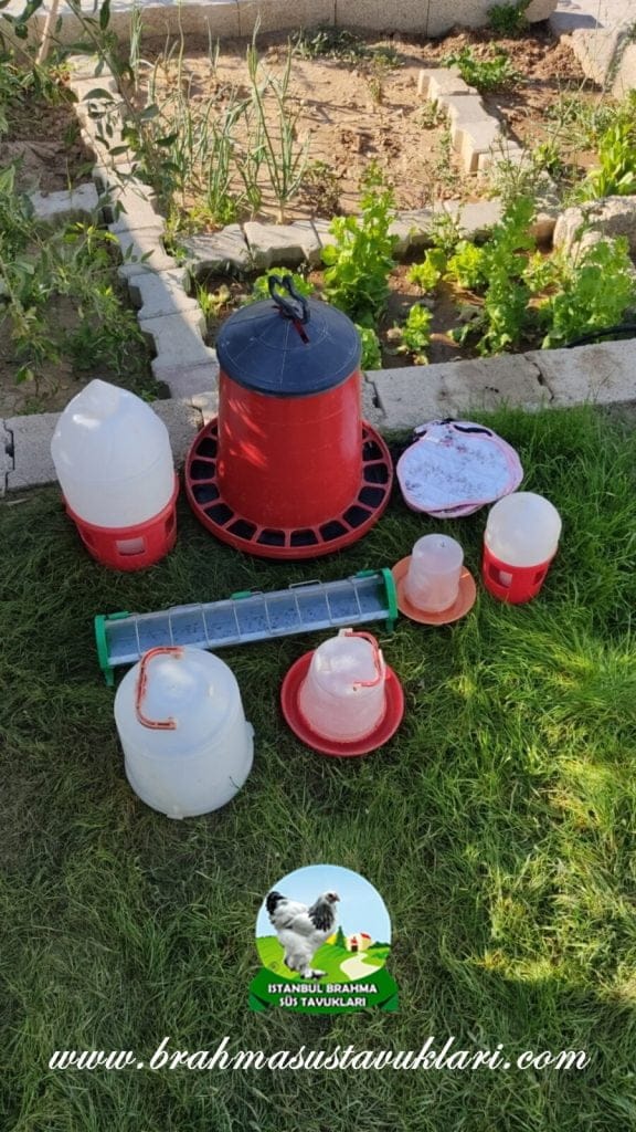 Tavuk Malzemeleri Kümes Malzemeleri İstanbul Süs TAVUKLARI tavuk malzemeleri