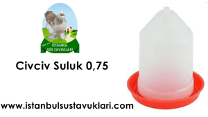 Kuluçkalık Yumurta