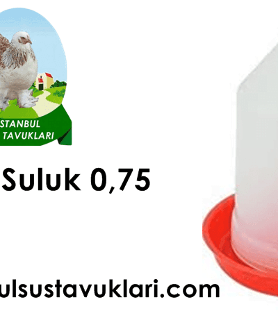 Civciv Suluk 0,75