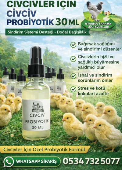 Diazyme 256 Probiyotik 80Gr