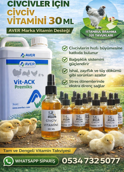 Civciv Vitamin 30 ML
