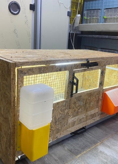 Civciv Büyütme Kafesi