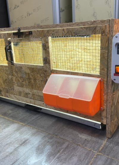 Civciv Büyütme Kafesi