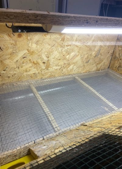 Civciv Büyütme Kafesi