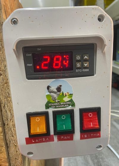 Civciv Büyütme Kafesi