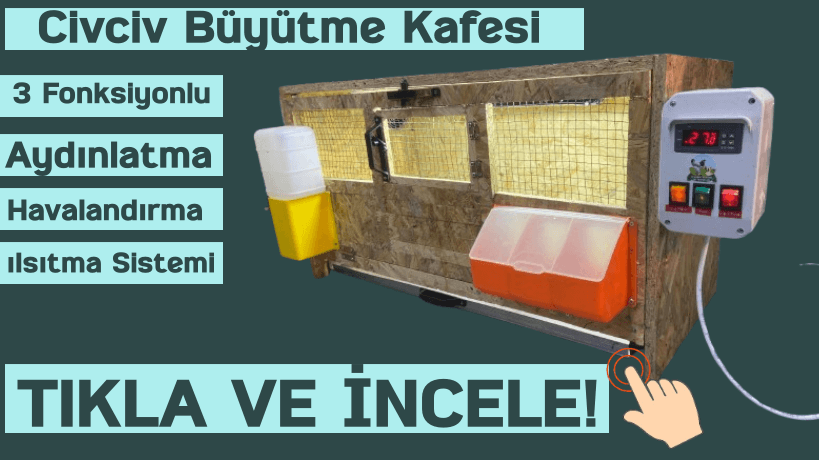 Civciv Büyütme Kafesi