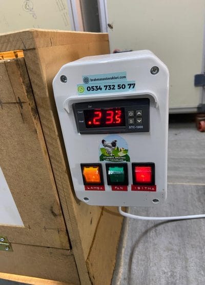 Civciv Büyütme Kafesi