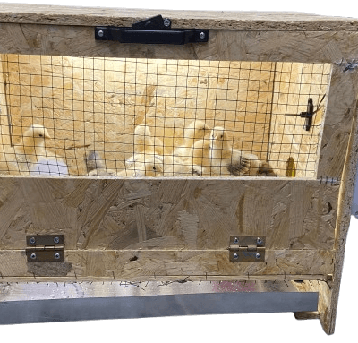 Civciv Büyütme Kafesi