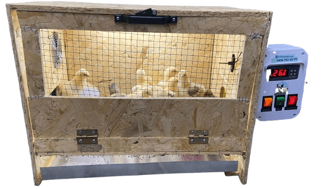 Civciv Büyütme Kafesi Küçük Otomatik İstanbul Süs TAVUKLARI Civciv Büyütme Kafesi