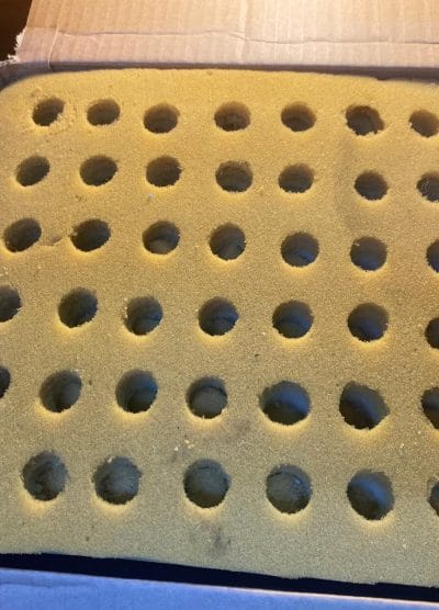 Sünger Yumurta Viyolü Kuluçka