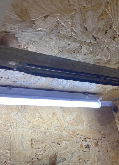 Civciv Büyütme Kafesi