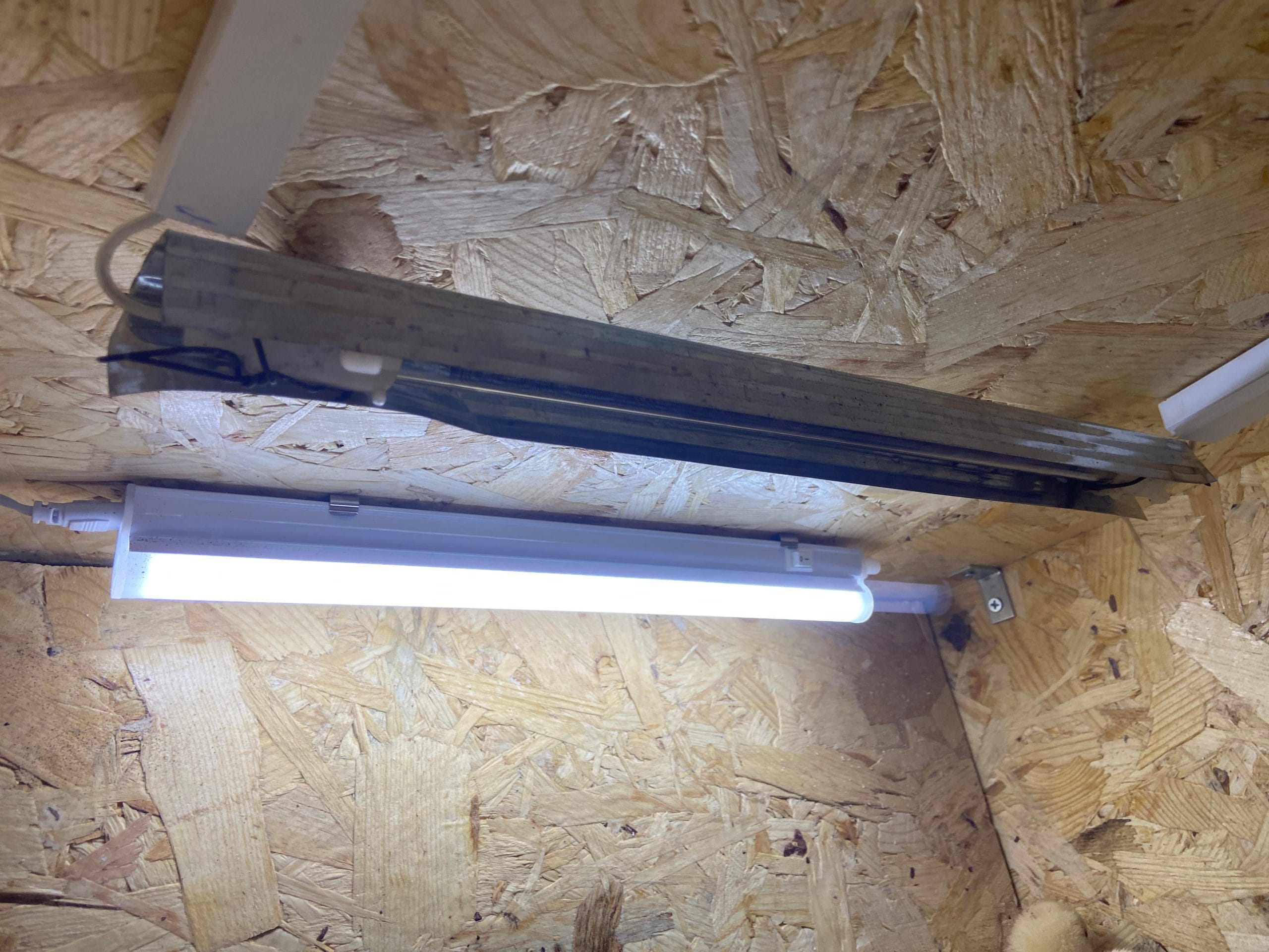 Civciv Büyütme Kafesi Küçük Otomatik İstanbul Süs TAVUKLARI Civciv Büyütme Kafesi