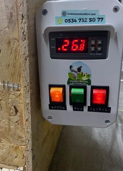 Civciv Büyütme Kafesi