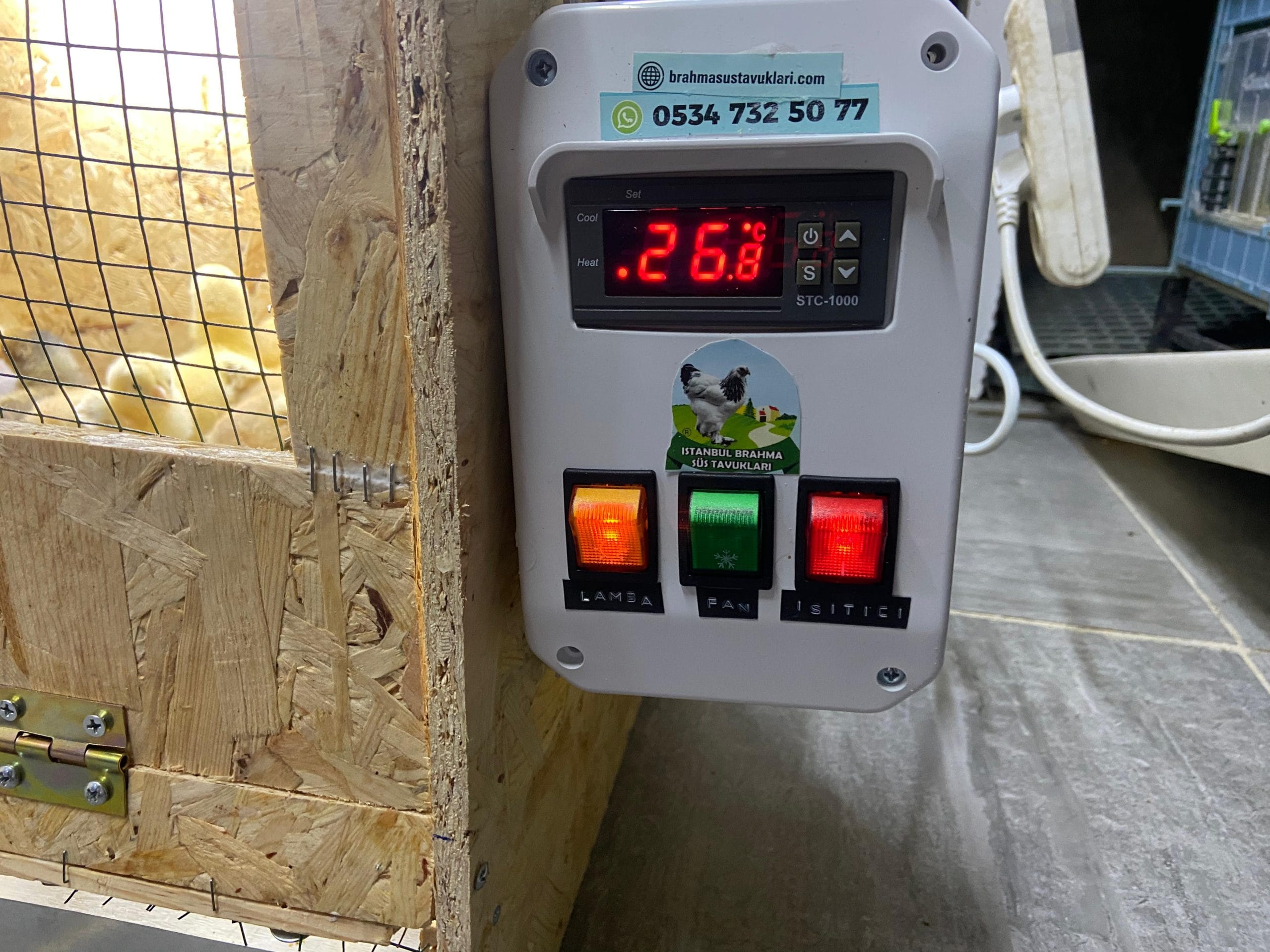 Civciv Büyütme Kafesi Küçük Otomatik İstanbul Süs TAVUKLARI Civciv Büyütme Kafesi