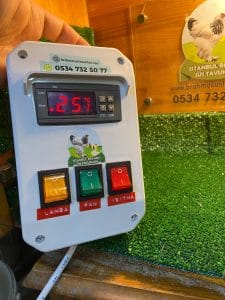 Civciv Büyütme Termostat Kutusu