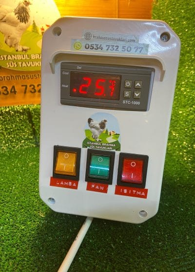 Civciv Büyütme Seti