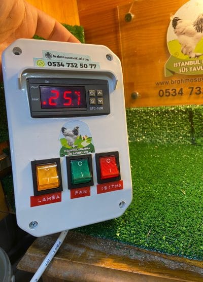 Civciv Büyütme Termostat Kutusu