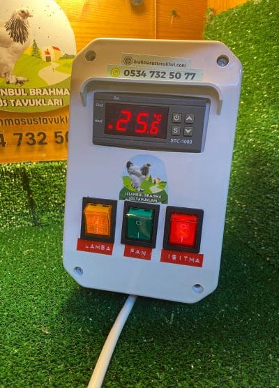 Civciv Büyütme Seti