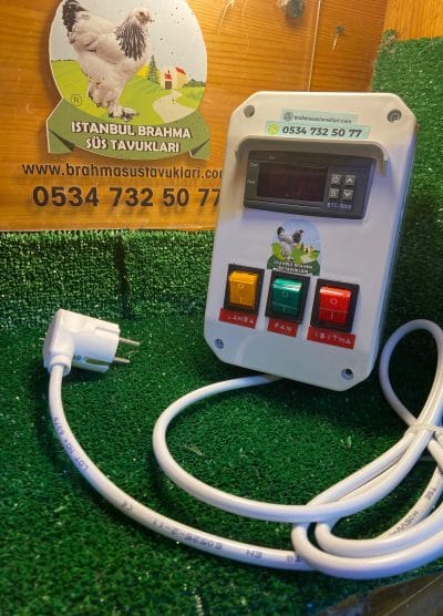 Civciv Büyütme Seti