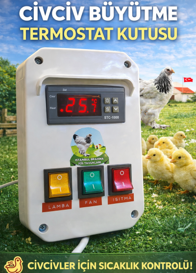 Civciv Büyütme Termostat Kutusu