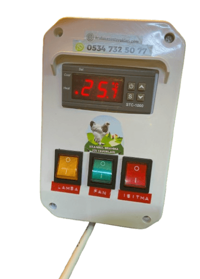 Civciv Büyütme Seti