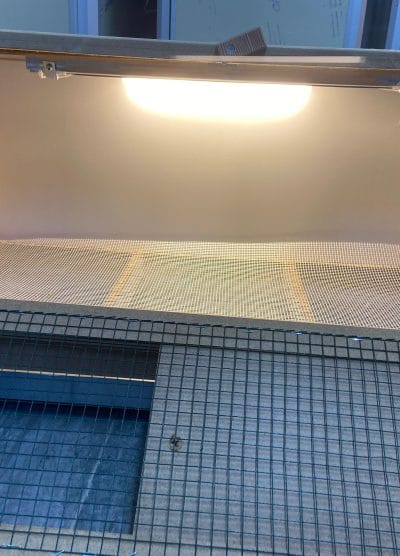 Civciv Büyütme Kafesi