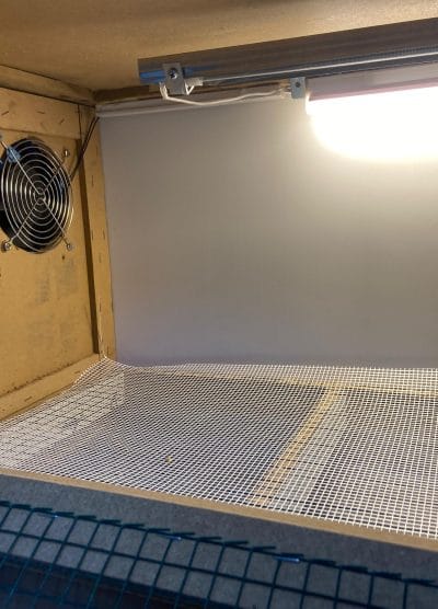 Civciv Büyütme Kafesi