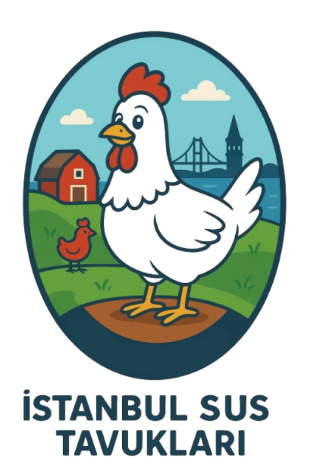 Civciv Fiyatları 2026 İstanbul Süs TAVUKLARI İstanbul Süs Tavukları Kuluçkalık Yumurta & Civciv