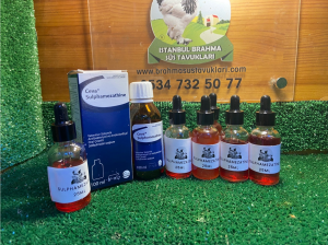 Kuluçkalık Yumurta