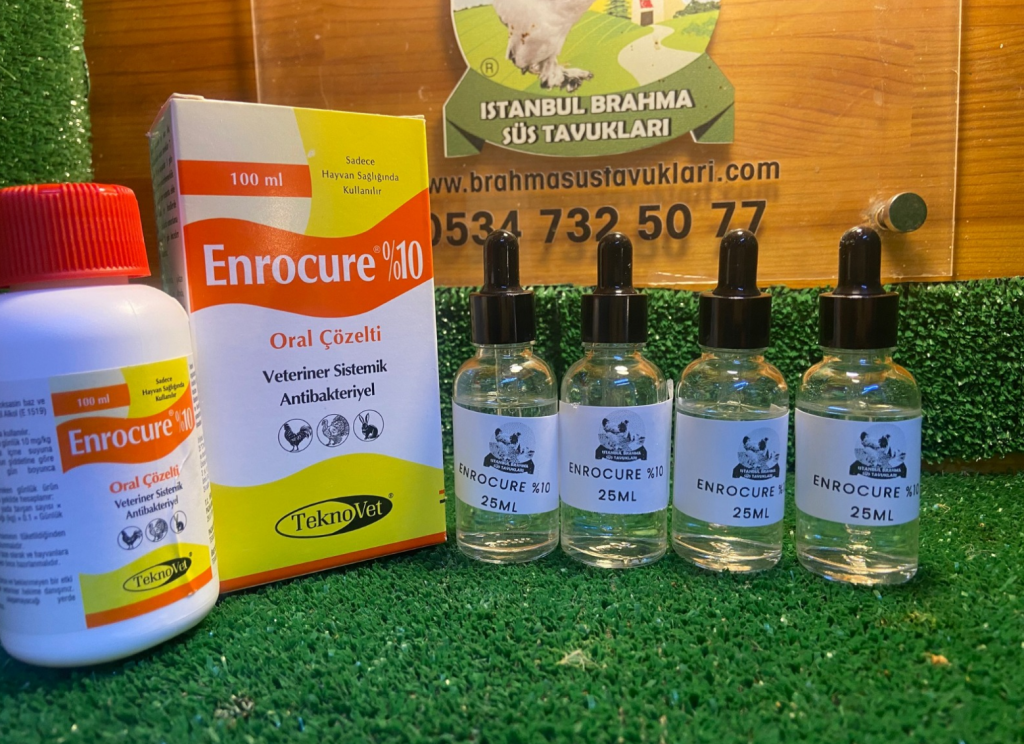 Kuluçkalık Yumurta