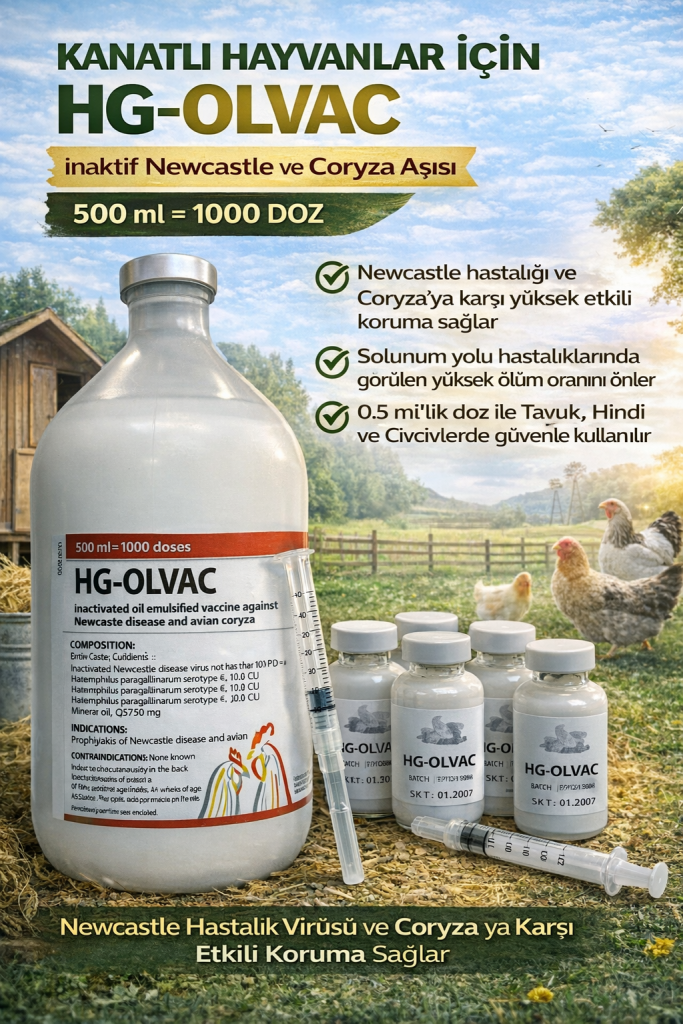 OLVAC A+B+HG 4'lü Karma Aşı | Kanatlı Aşısı İstanbul Süs TAVUKLARI Kuluçkalık Yumurta