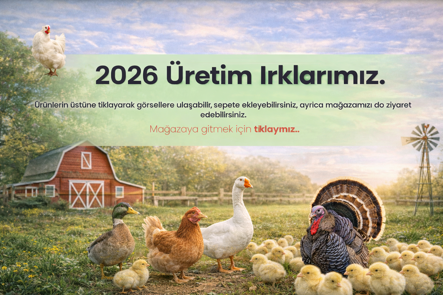 Kuluçkalık Yumurta