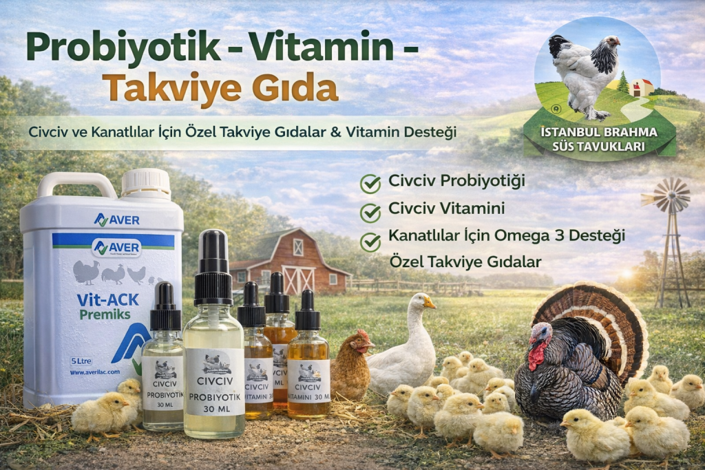 Kuluçkalık Yumurta