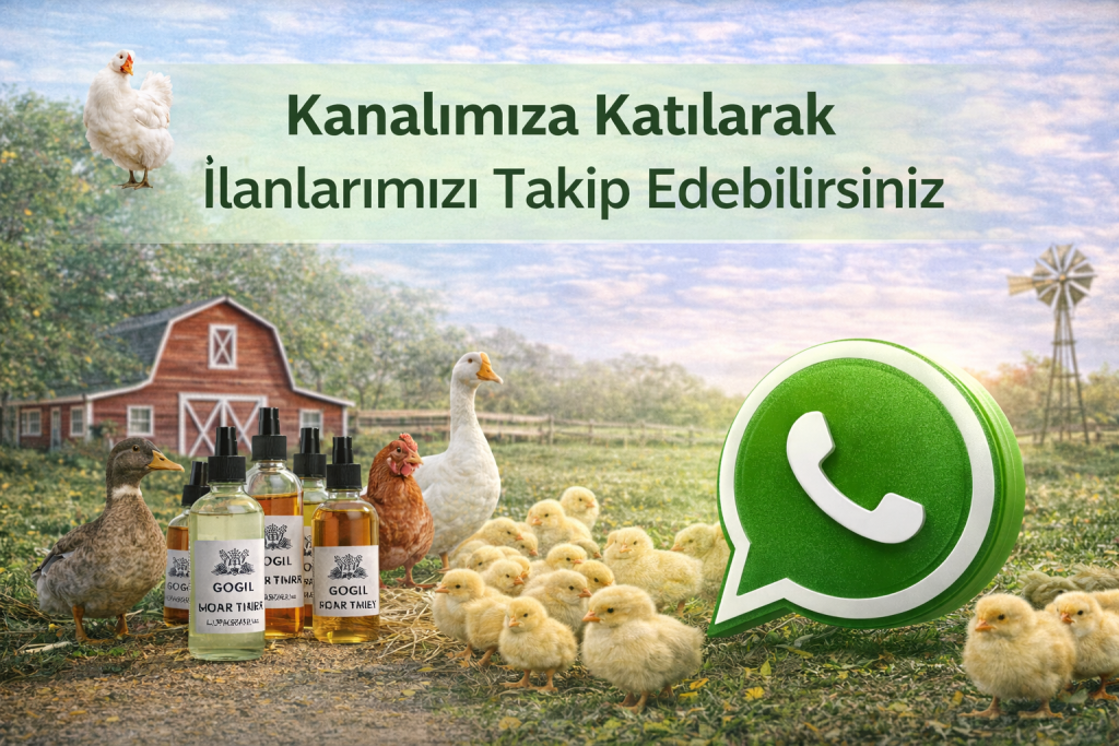 Kuluçkalık Yumurta