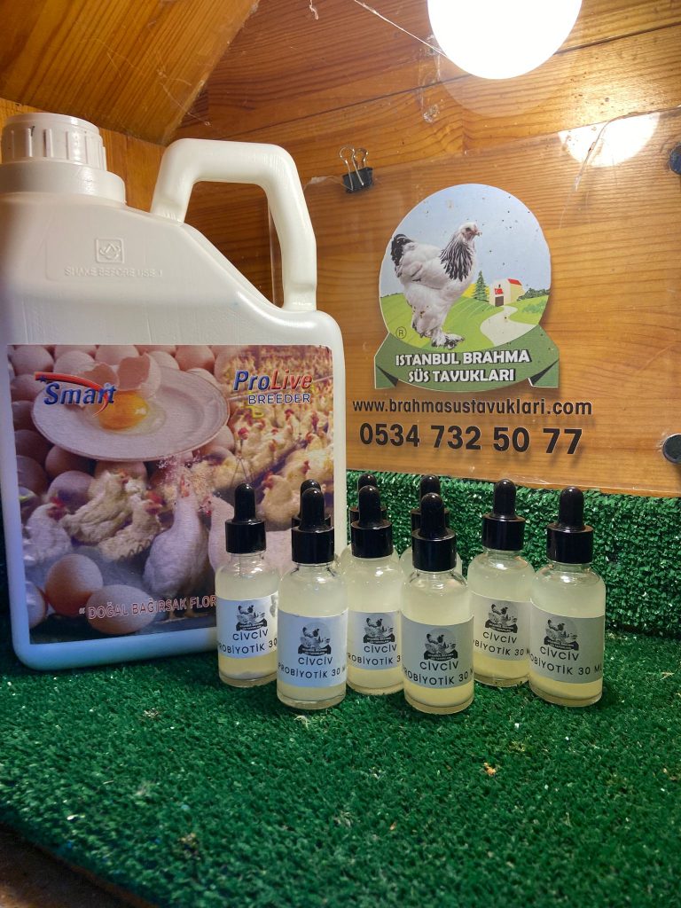 Kuluçkalık Yumurta