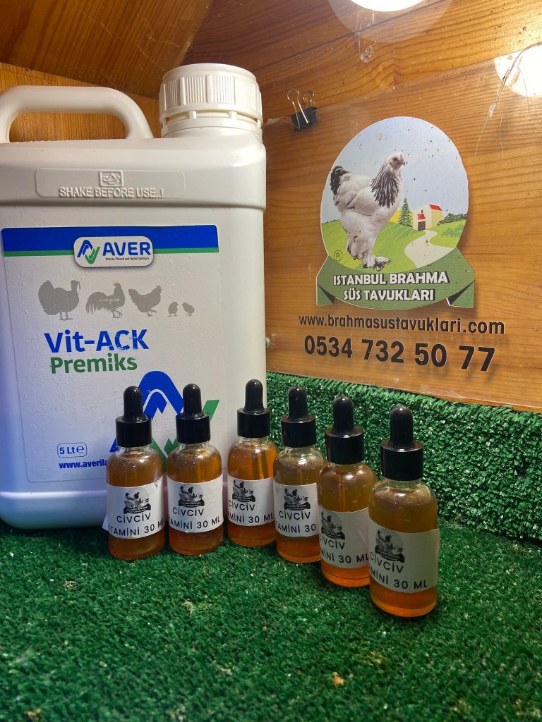 Kuluçkalık Yumurta