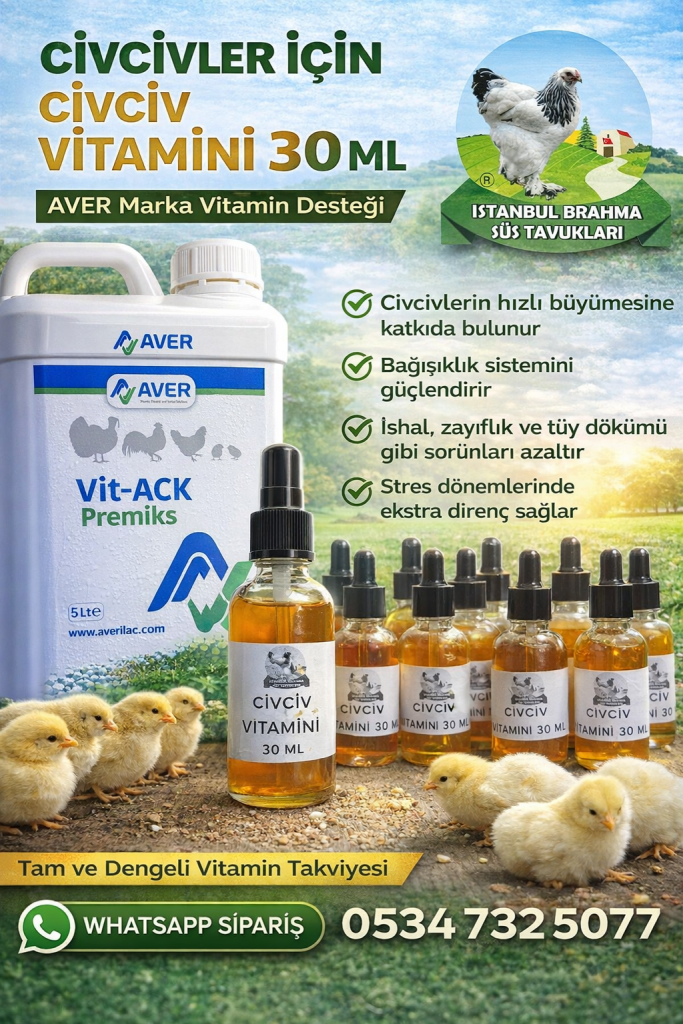 Aver Civciv Vitamini | Civciv Gelişim ve Bağışıklık Desteği İstanbul Süs TAVUKLARI Kuluçkalık Yumurta