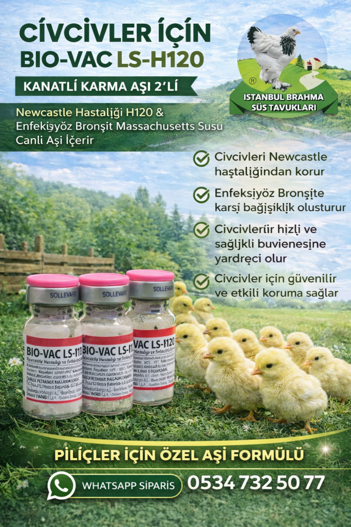 Kuluçkalık Yumurta