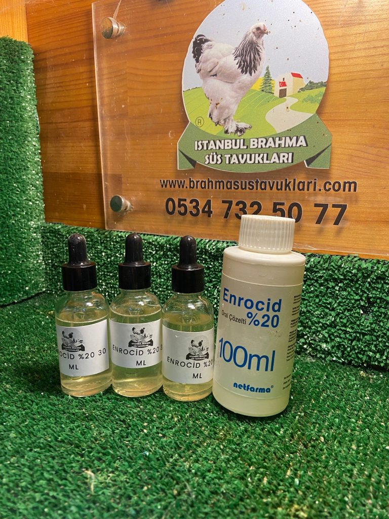 Kuluçkalık Yumurta