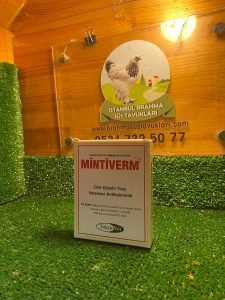 Kuluçkalık Yumurta