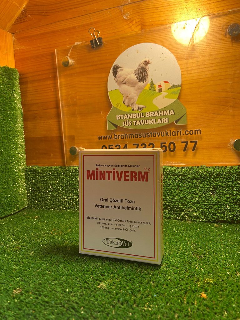 Kuluçkalık Yumurta