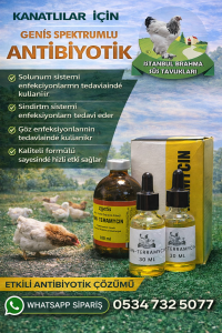 Kuluçkalık Yumurta