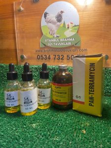 Kuluçkalık Yumurta