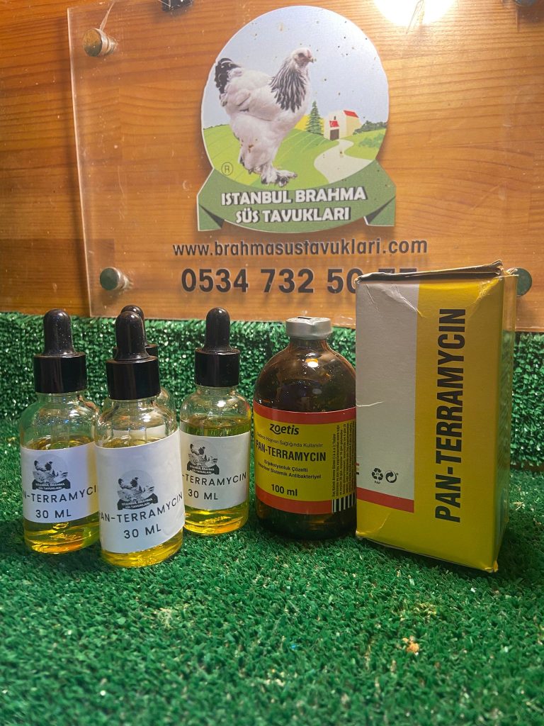 Kuluçkalık Yumurta