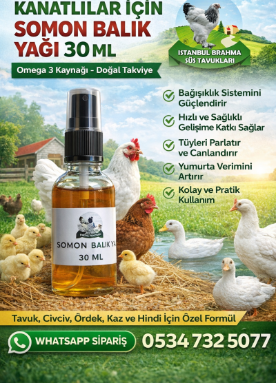 Kanatlılar ve Civcivler İçin Somon Balık Yağı 30 ML | Omega 3 Destek