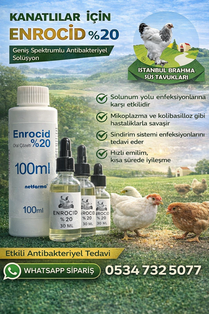 Enrocid %20 | Kanatlı Antibiyotik | Tavuk ve Civciv İlacı İstanbul Süs TAVUKLARI Kuluçkalık Yumurta