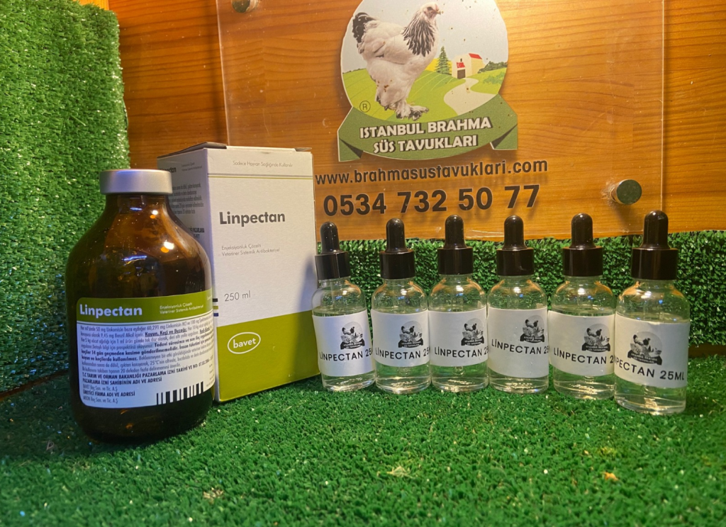 Kuluçkalık Yumurta